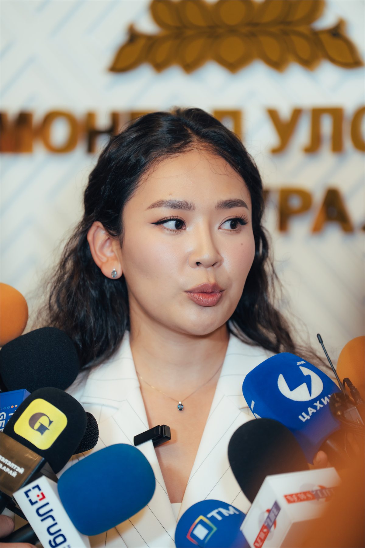 С.Цэнгүүн эрчим хүчний шинэчлэлийн талаар мэдээлэл өгч буй нь